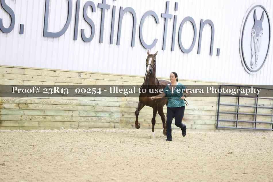 Proof 23R13_00254