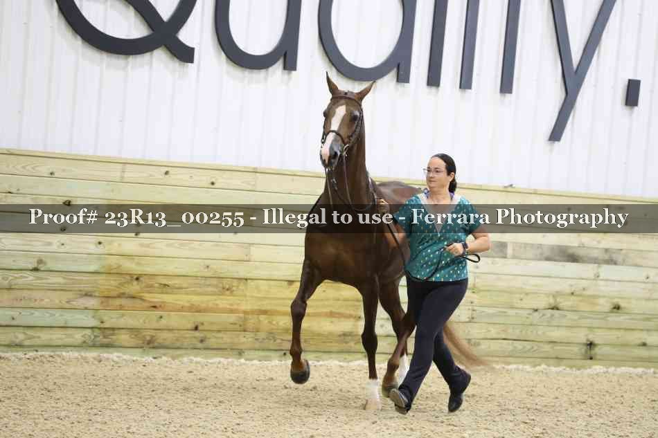 Proof 23R13_00255