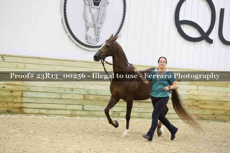 Proof 23R13_00256