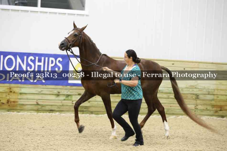 Proof 23R13_00258