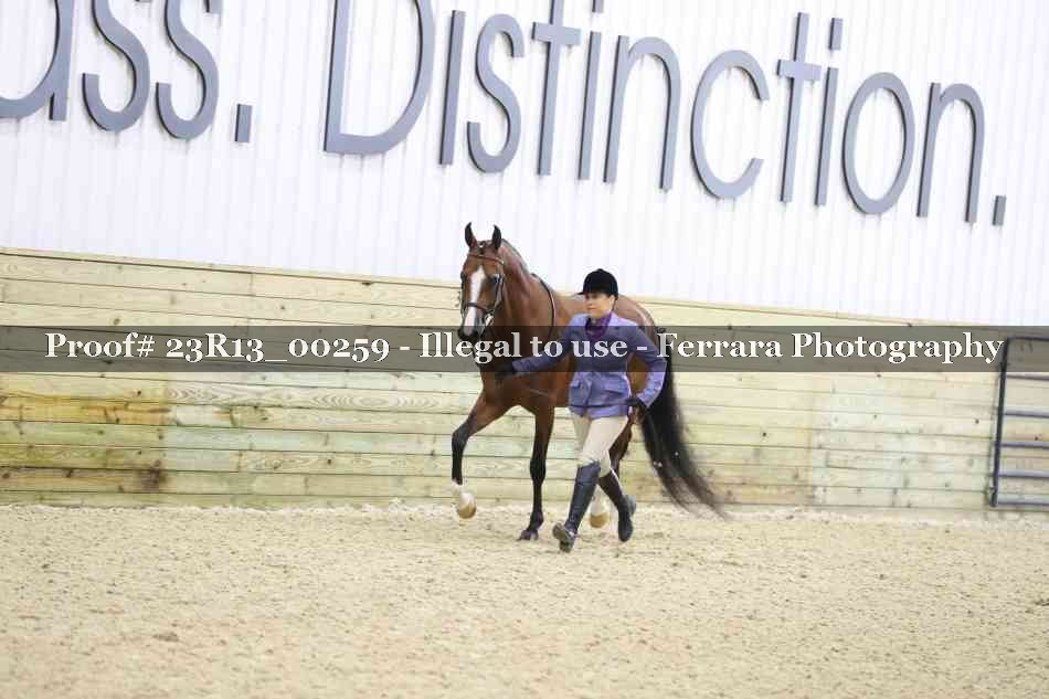 Proof 23R13_00259