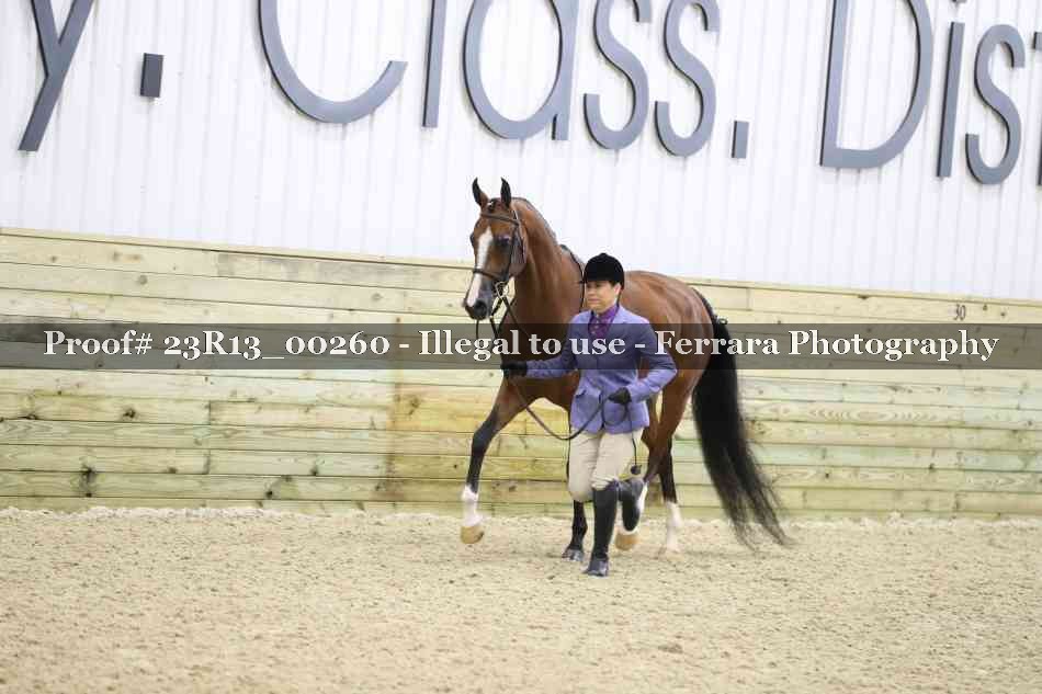 Proof 23R13_00260