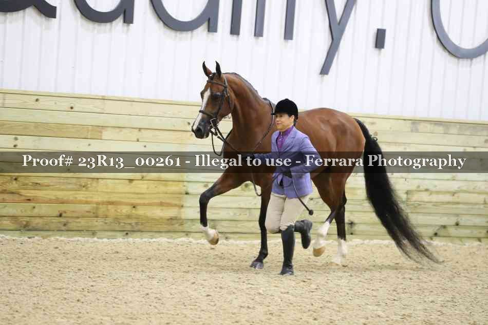Proof 23R13_00261