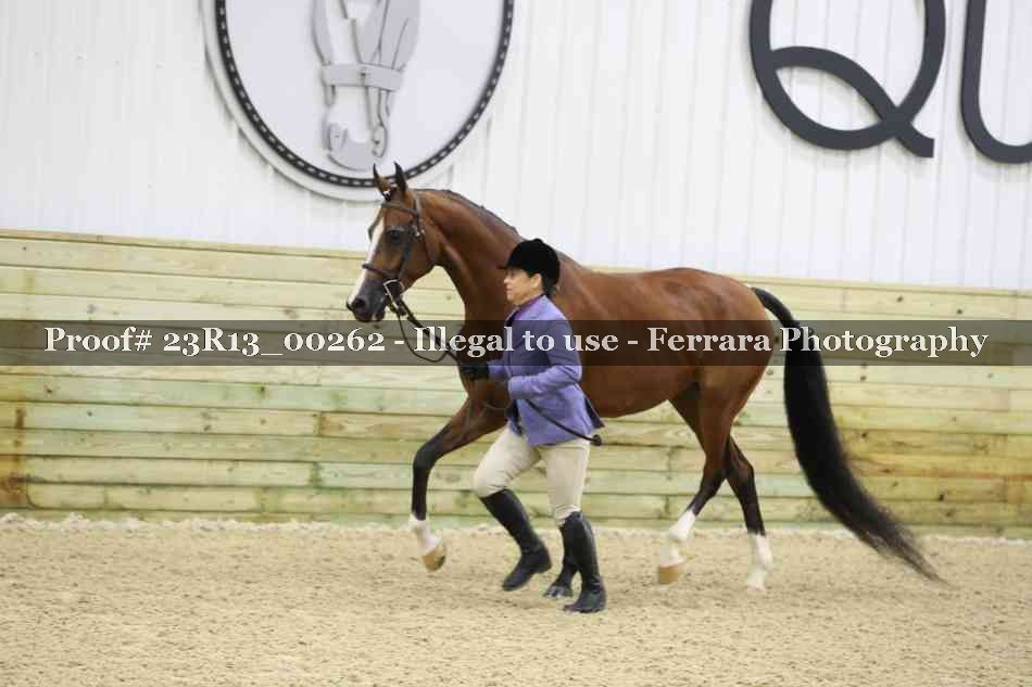 Proof 23R13_00262