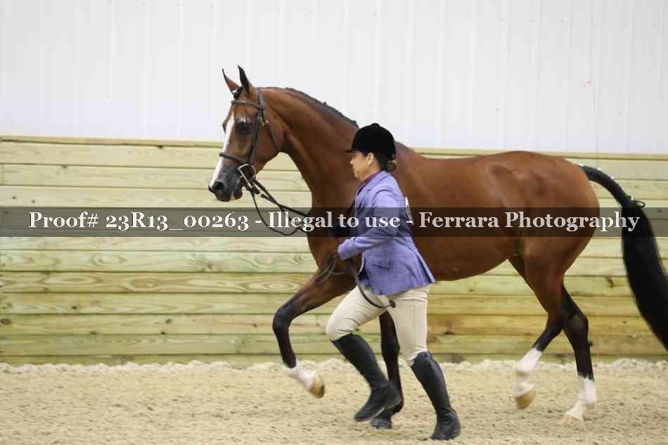 Proof 23R13_00263