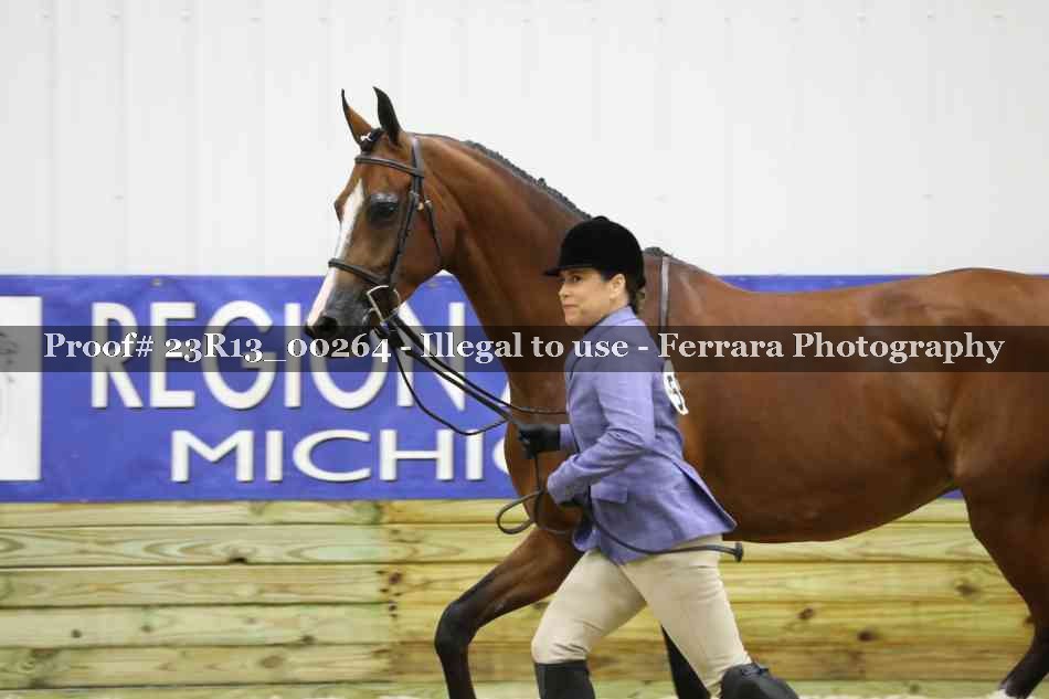 Proof 23R13_00264