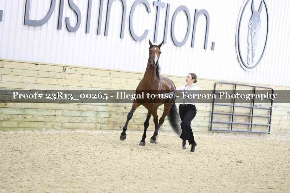 Proof 23R13_00265