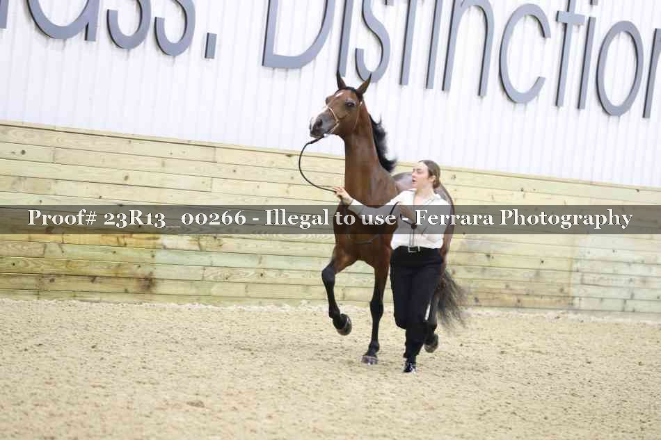 Proof 23R13_00266
