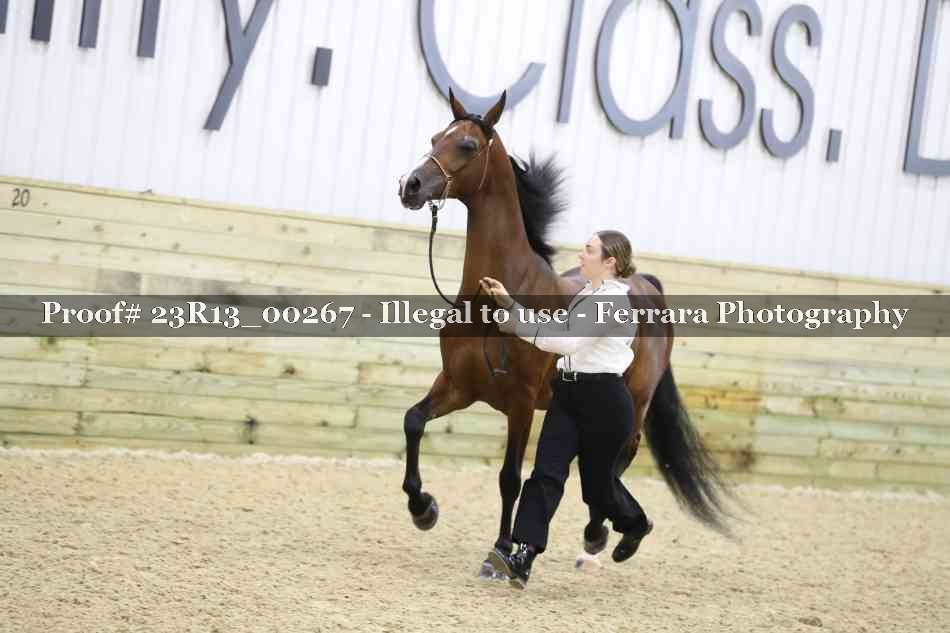 Proof 23R13_00267