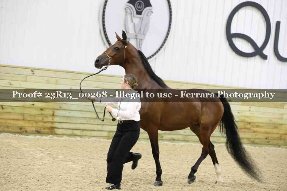 Proof 23R13_00268