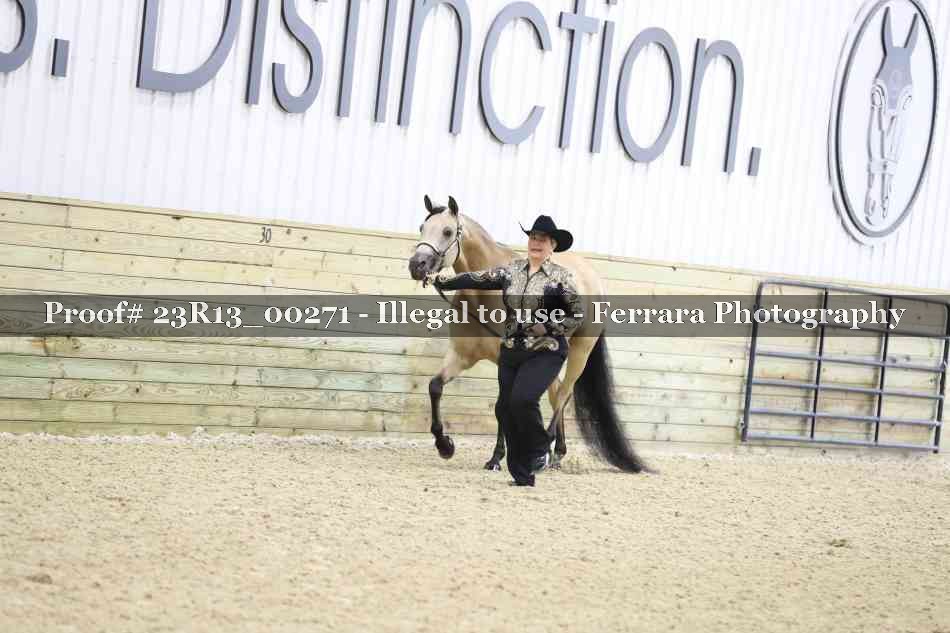 Proof 23R13_00271