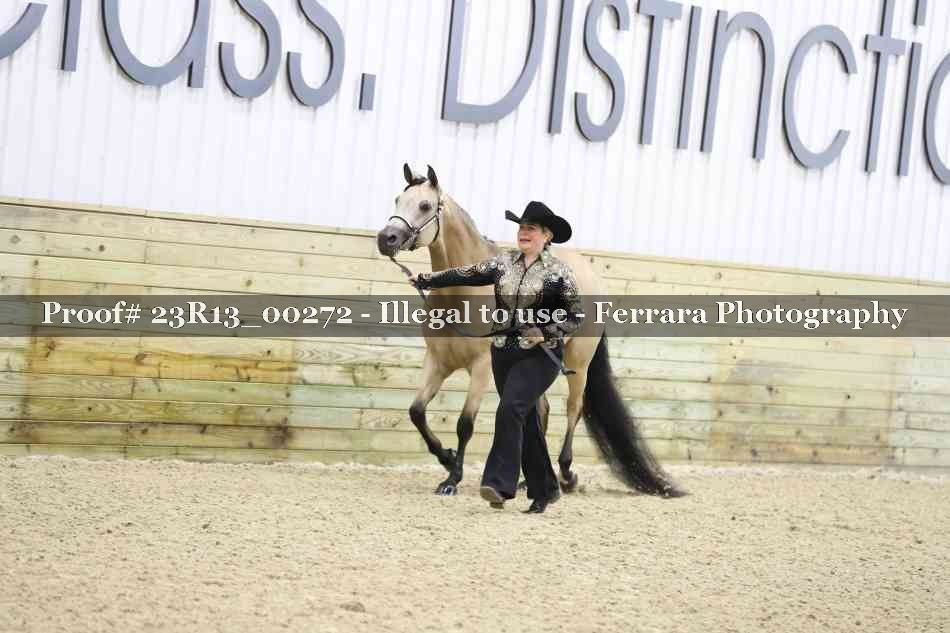 Proof 23R13_00272