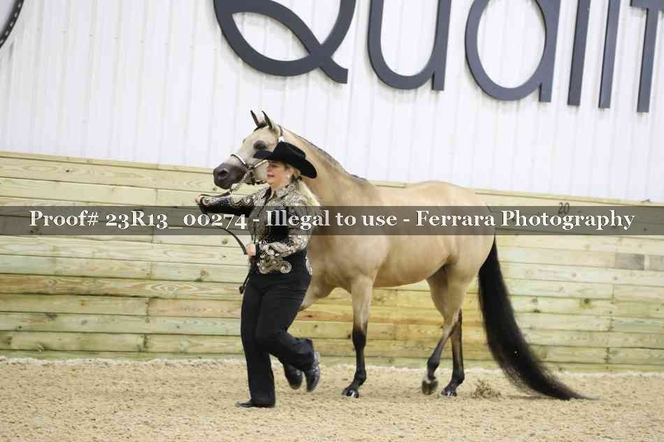 Proof 23R13_00274