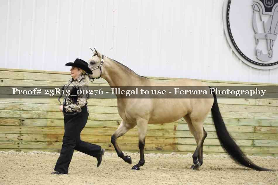 Proof 23R13_00276
