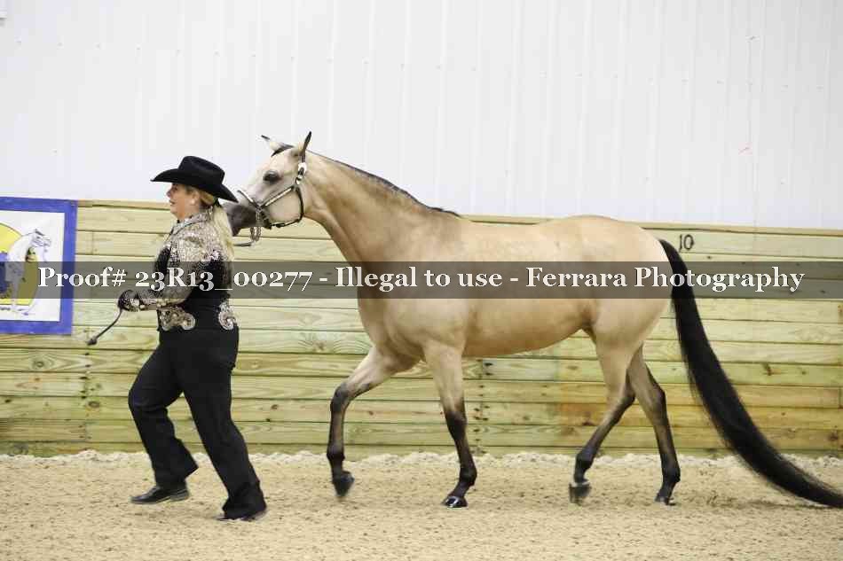 Proof 23R13_00277
