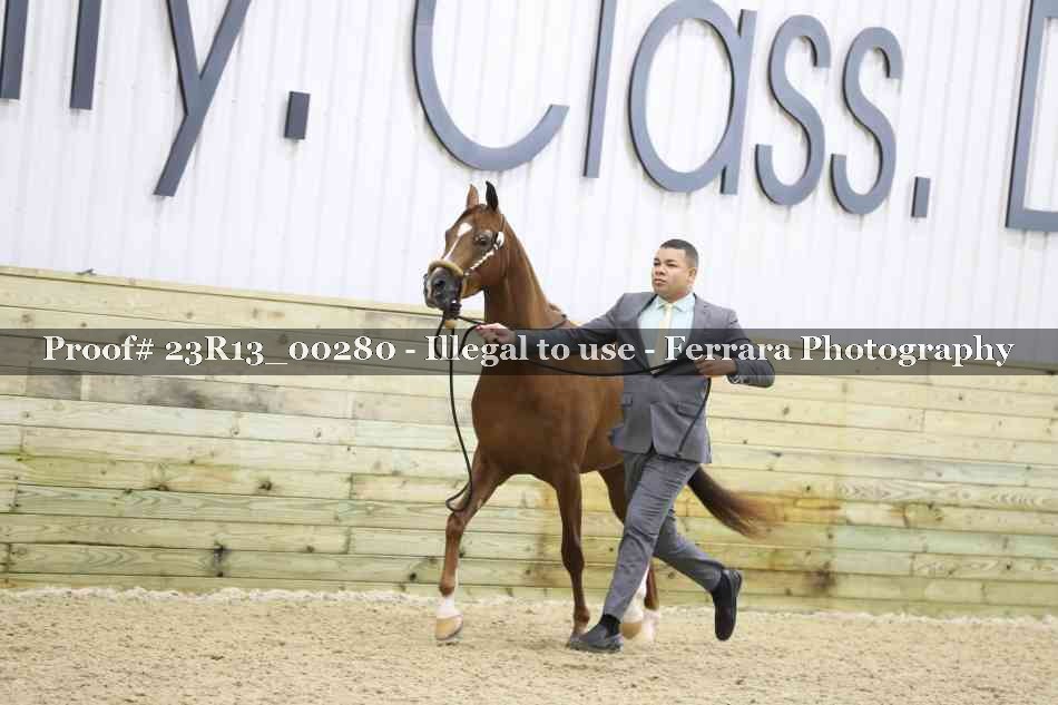 Proof 23R13_00280