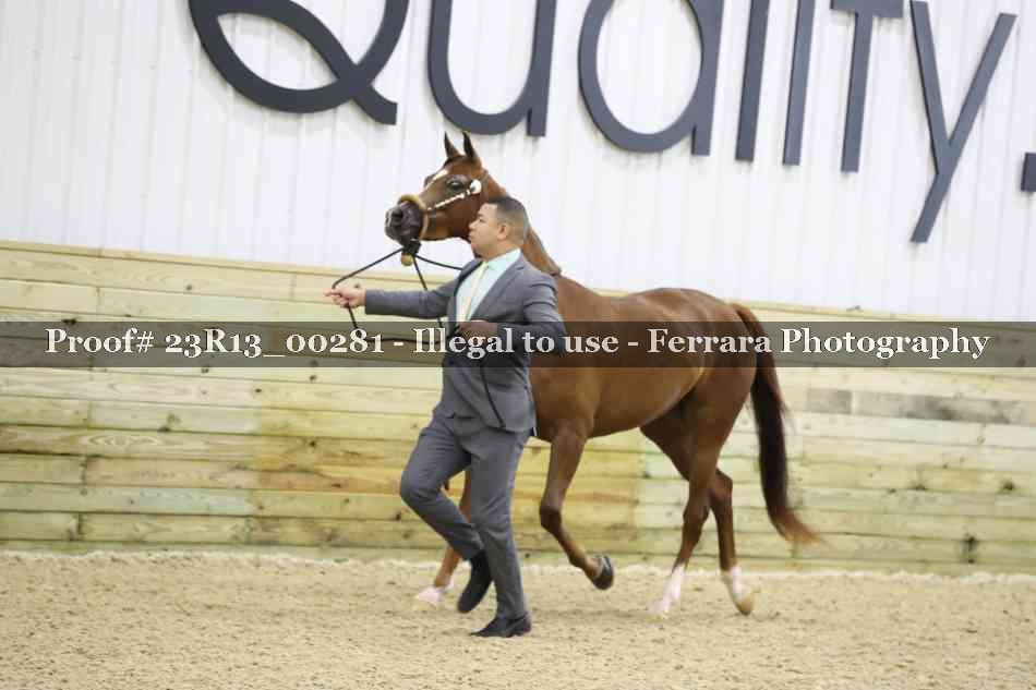 Proof 23R13_00281