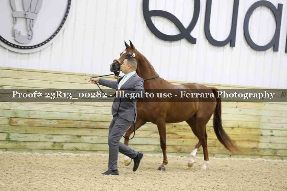 Proof 23R13_00282