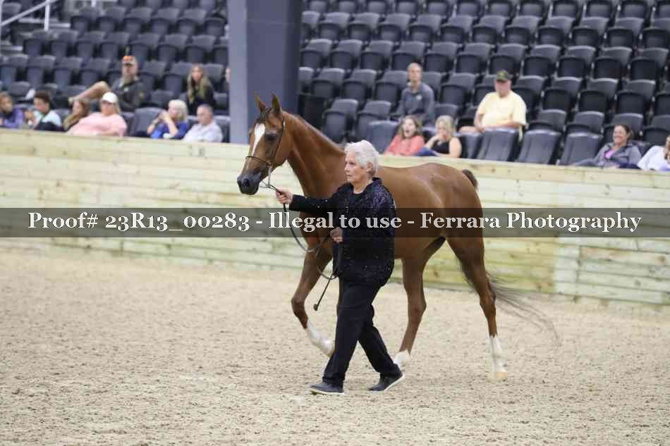 Proof 23R13_00283