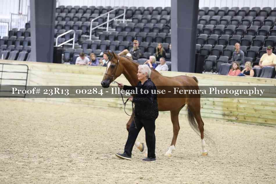 Proof 23R13_00284