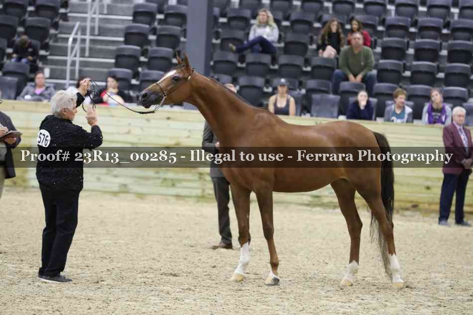 Proof 23R13_00285