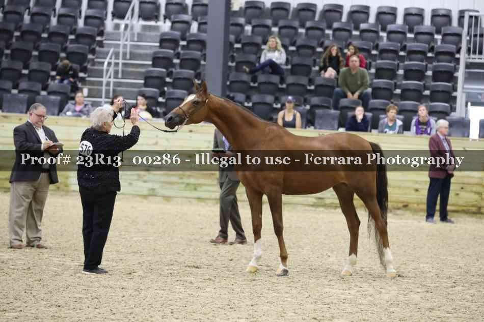 Proof 23R13_00286