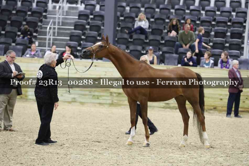 Proof 23R13_00288