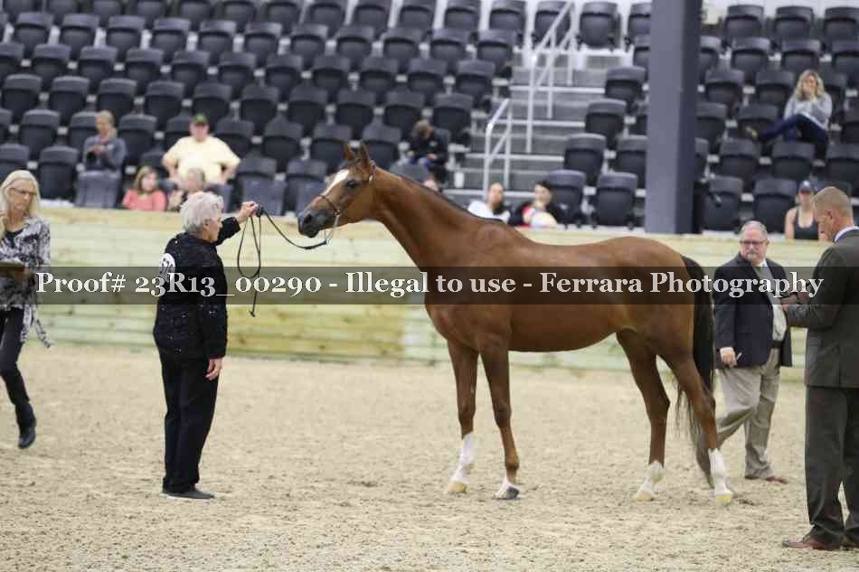 Proof 23R13_00290