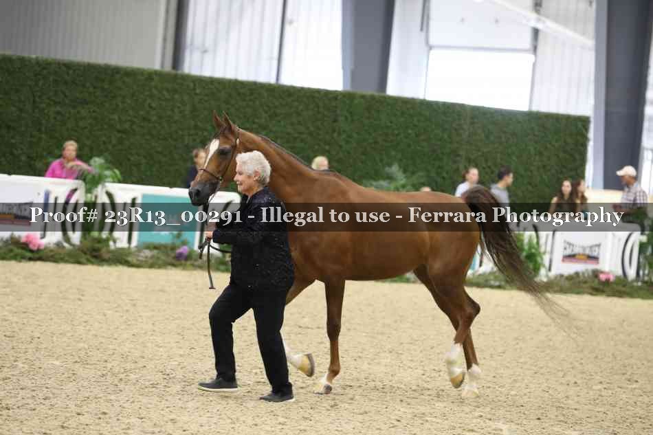 Proof 23R13_00291