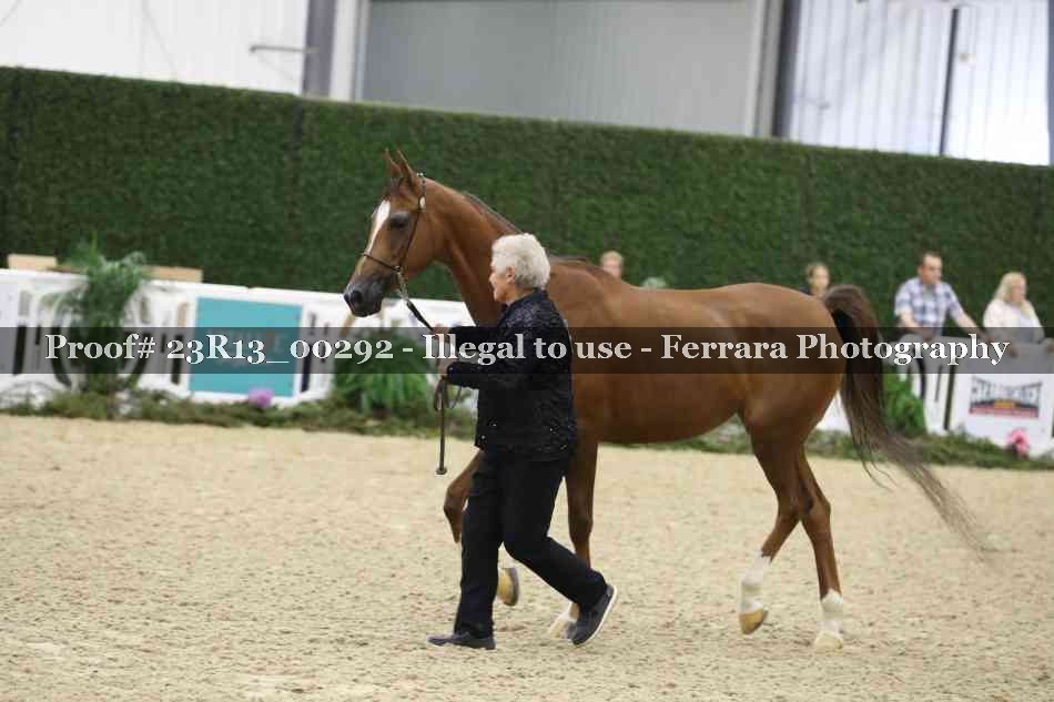 Proof 23R13_00292