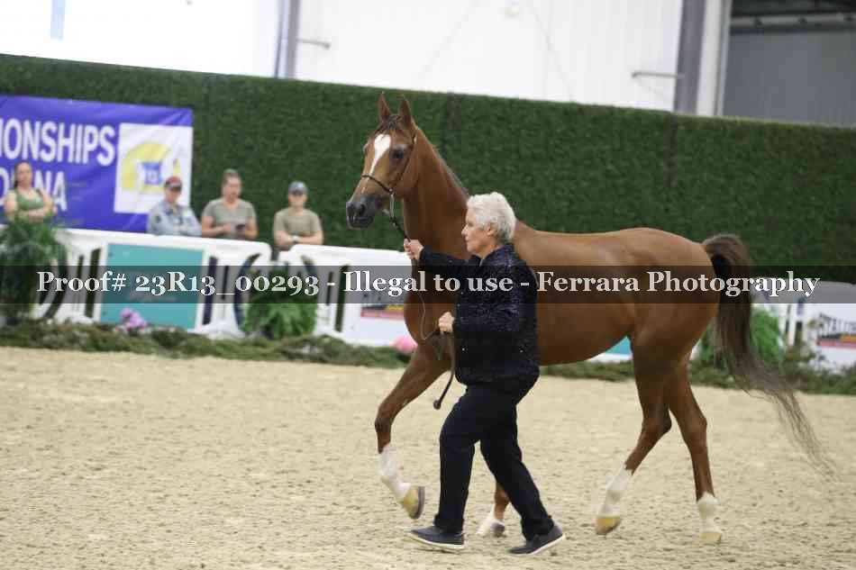 Proof 23R13_00293