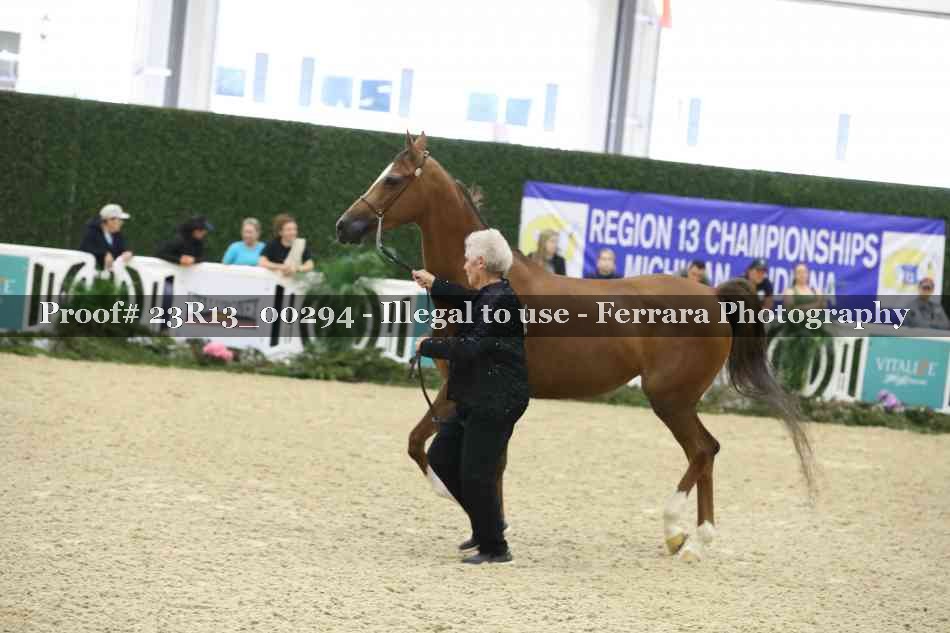 Proof 23R13_00294