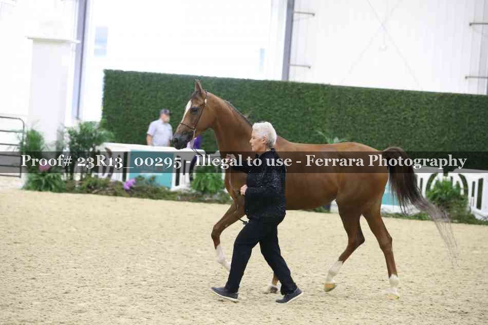 Proof 23R13_00295