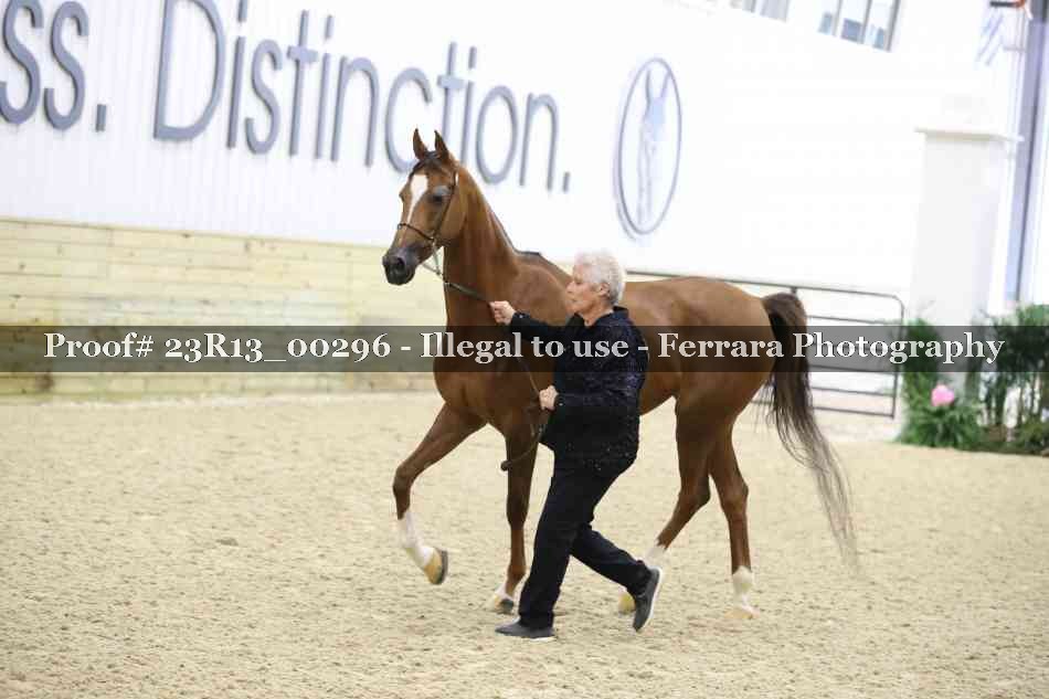 Proof 23R13_00296
