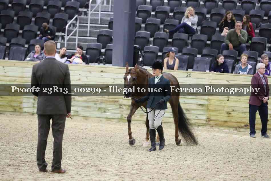Proof 23R13_00299