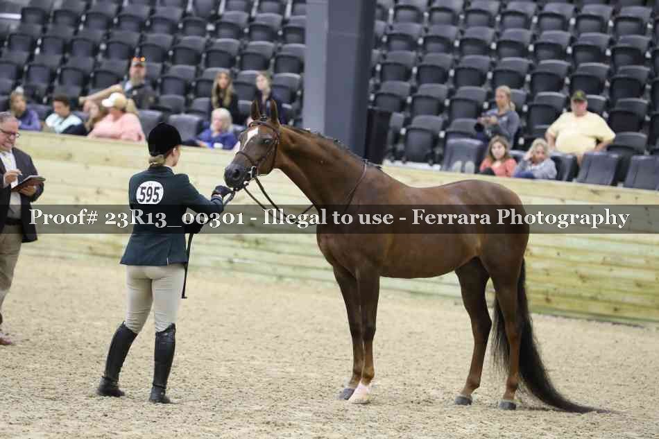 Proof 23R13_00301