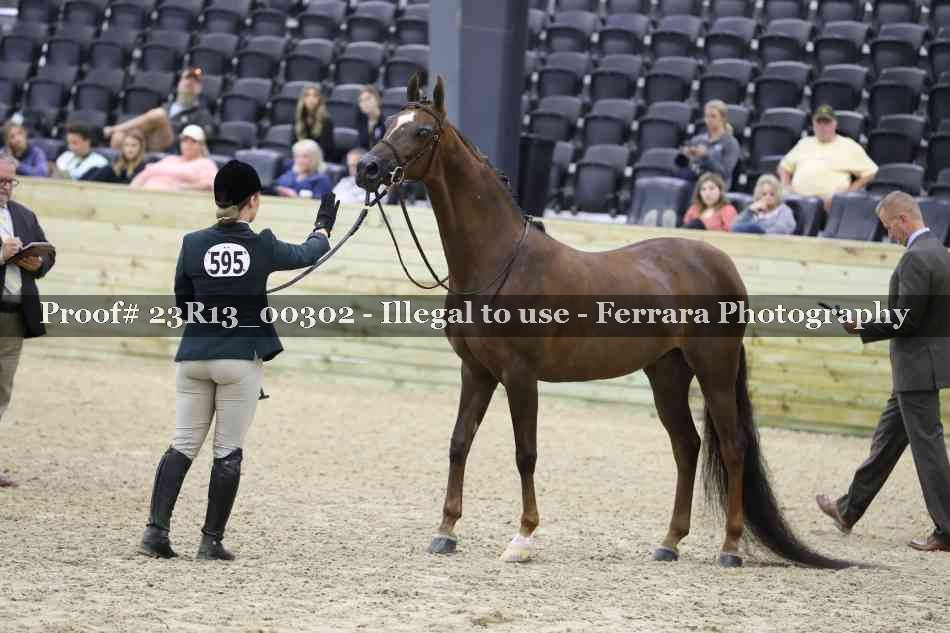 Proof 23R13_00302