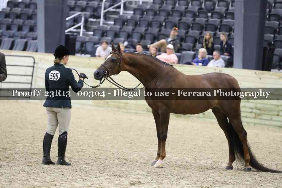 Proof 23R13_00304