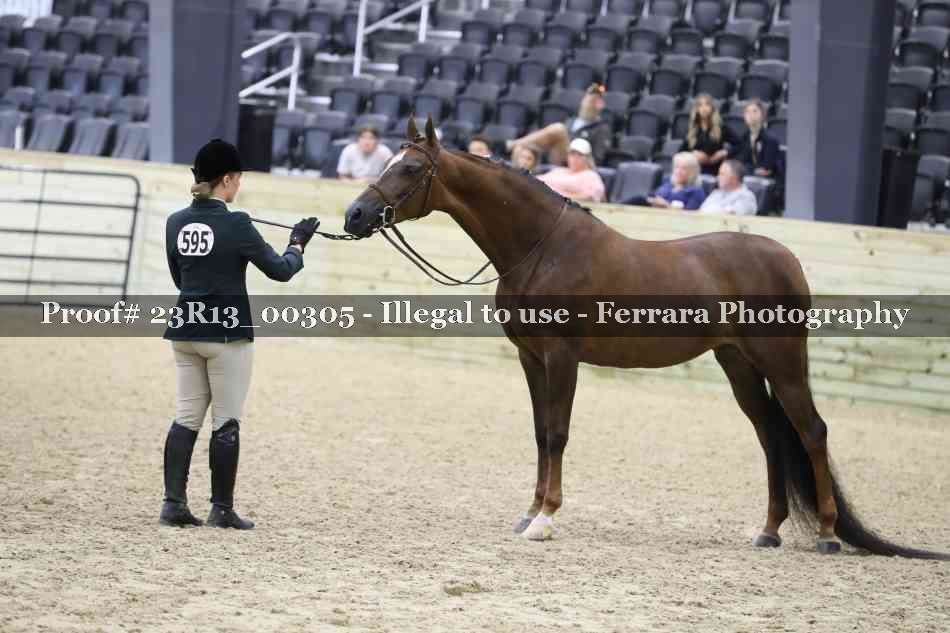 Proof 23R13_00305