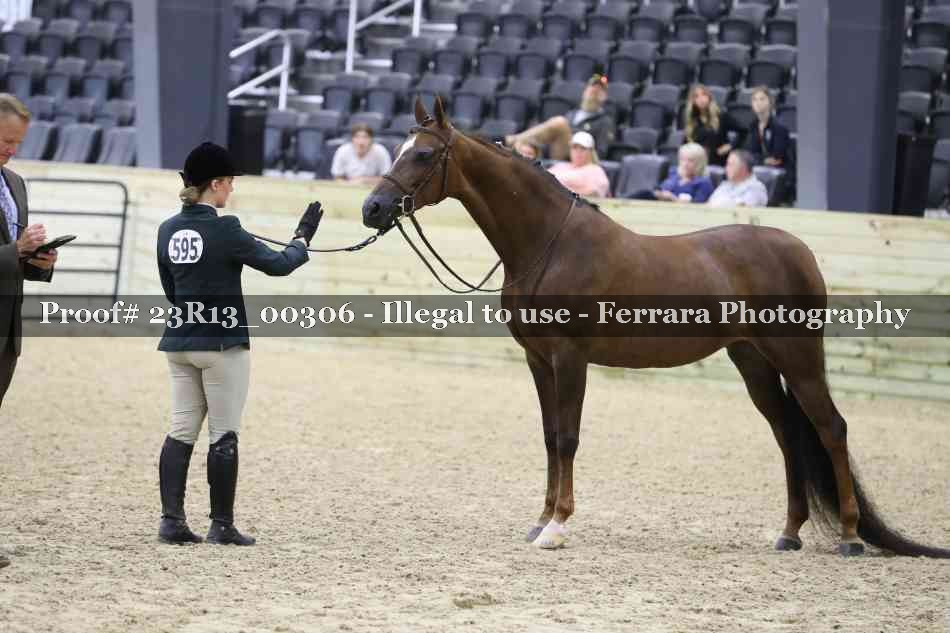 Proof 23R13_00306