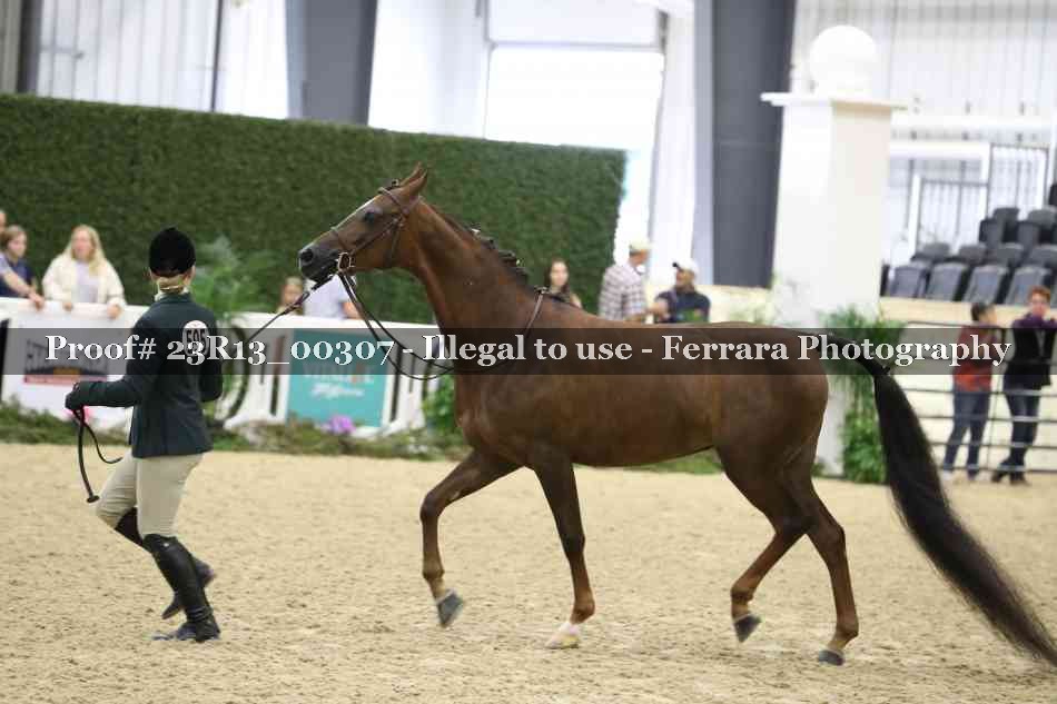 Proof 23R13_00307