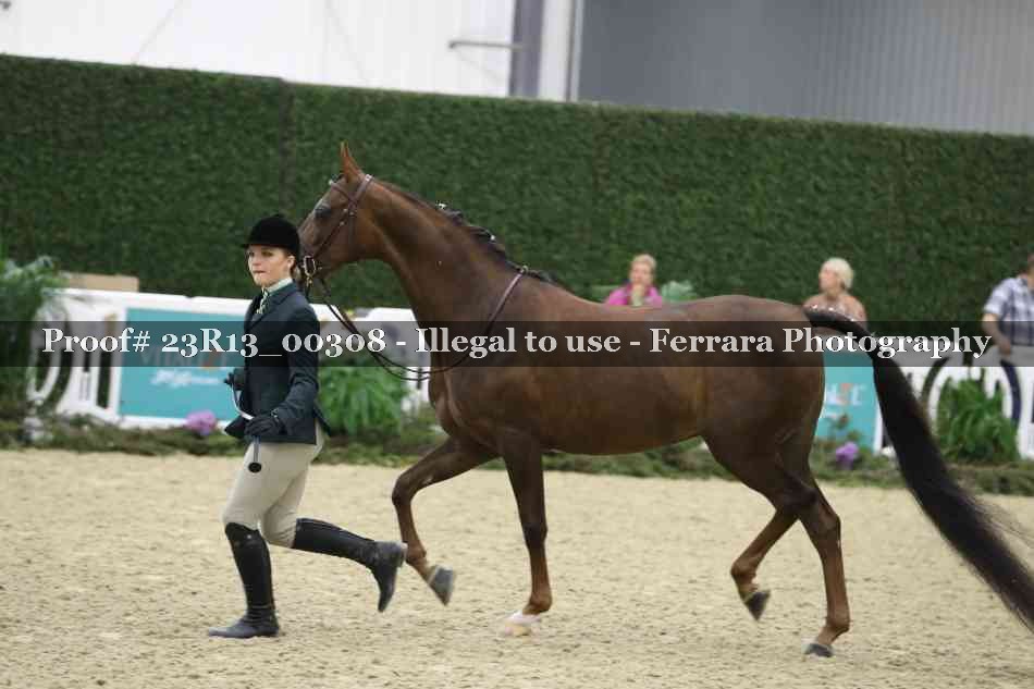 Proof 23R13_00308