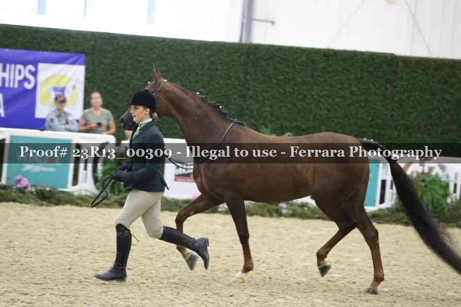 Proof 23R13_00309