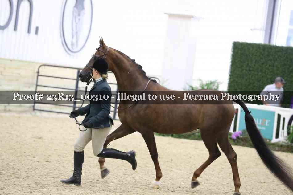 Proof 23R13_00310