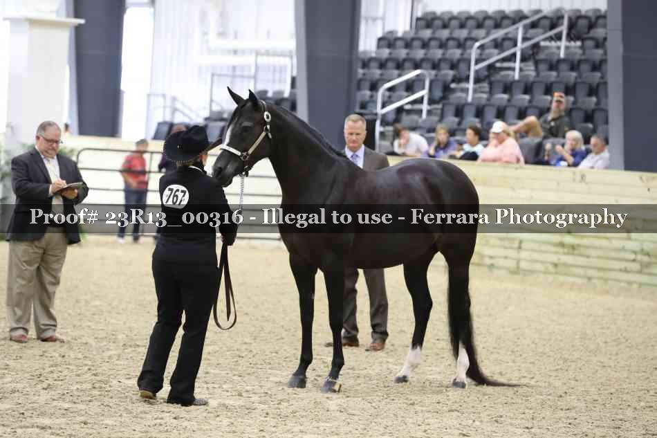 Proof 23R13_00316