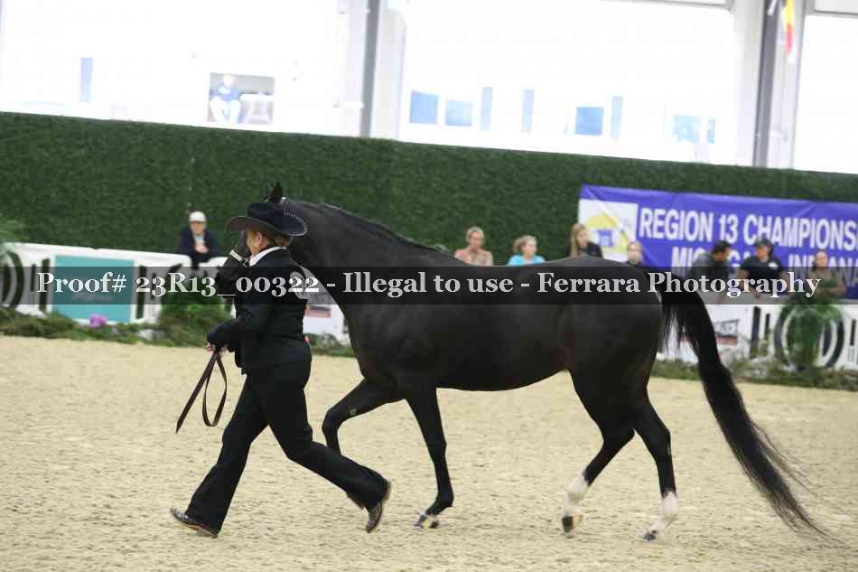 Proof 23R13_00322
