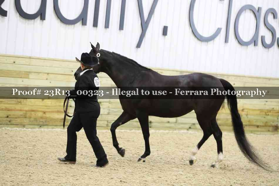 Proof 23R13_00323