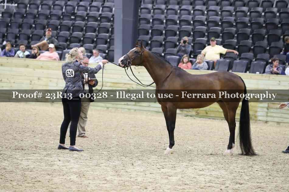 Proof 23R13_00328