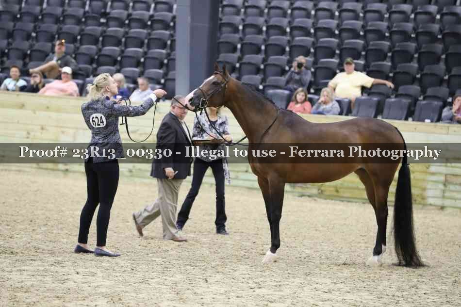 Proof 23R13_00330