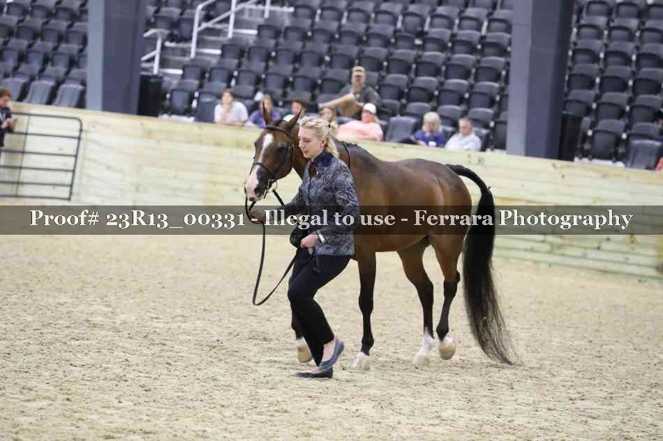 Proof 23R13_00331